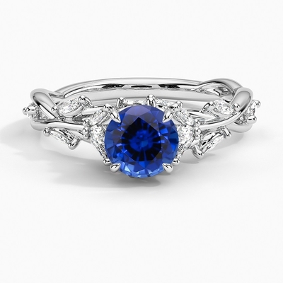Сад CZ RingSet сапфира секретный с сапфиром 6mm наградным голубым круглым