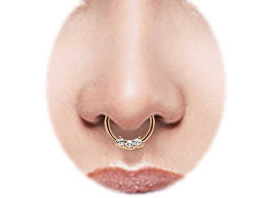 Кольцо носа кольца, 8mm и 10mm септума золота винтовой линии 14k для ежедневной носки